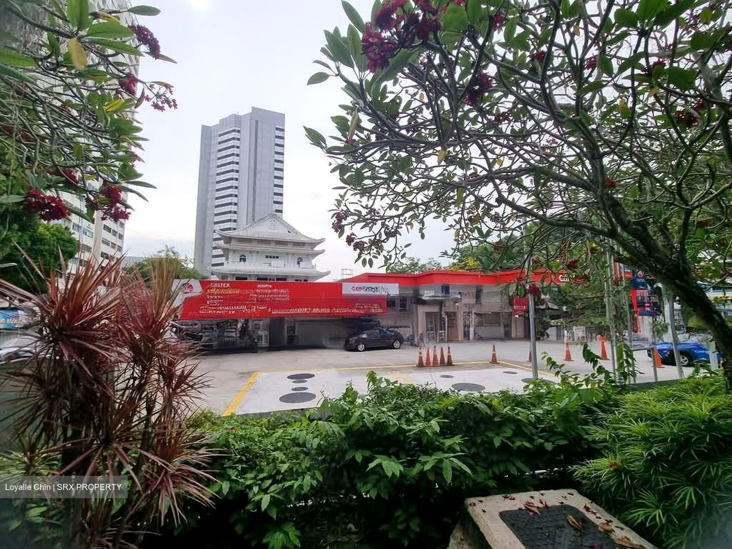 Bukit Merah Central (D3), Shop House #545805221